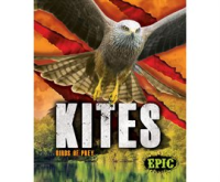 Kites by Sommer, Nathan